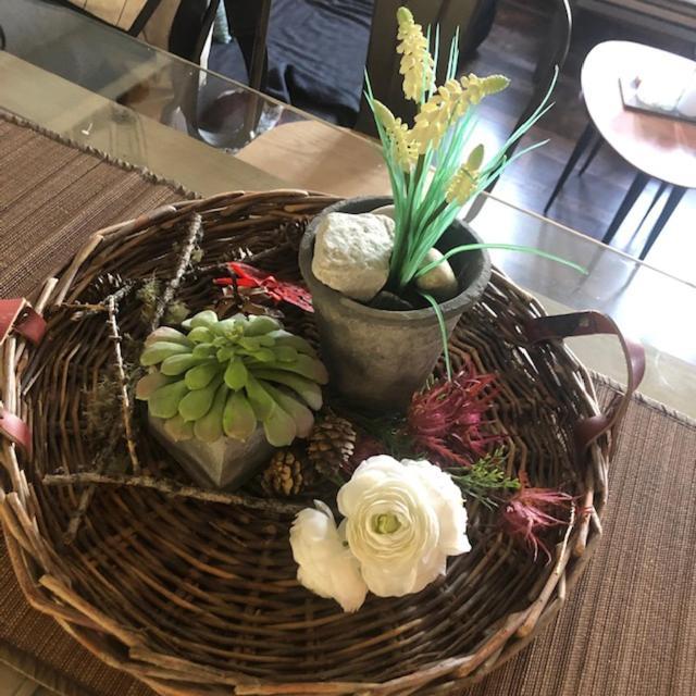 Petit Appart De Charme Eau Chaude Solaire Renovation 2021 Wifi Disponible Belvedere 5 Сан-Люк Екстер'єр фото